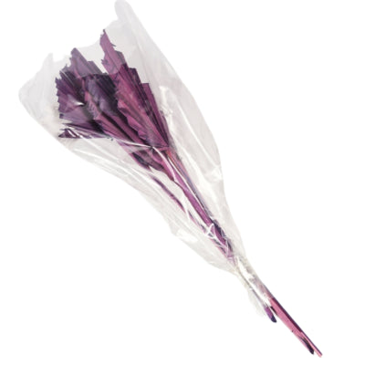 Manojo de lanza de hoja de palma seca violeta 35 cm 4 piezas | 18 piezas