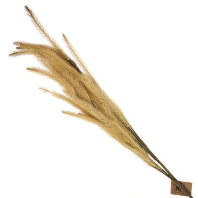 Plumas de rama artificiales amarillo ocre 108 cm | 12 piezas