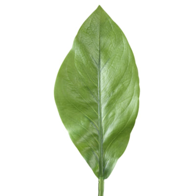Ptmd ramo artificiale foglie verdi 70 cm | 12 pezzi
