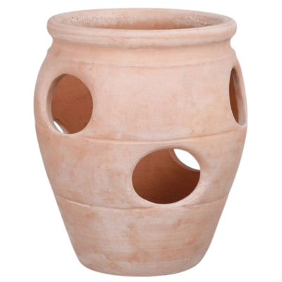 Vaso da fiori in mica fragola in terracotta 31 cm | 6 pezzi