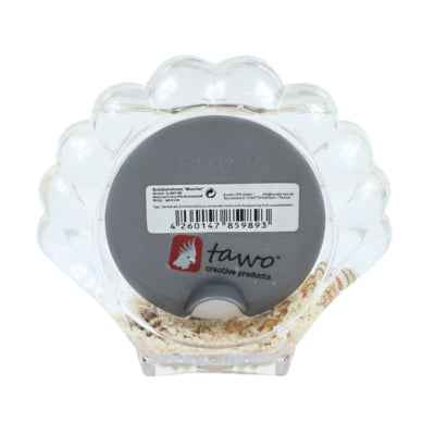 Cornice portafoto conchiglia 6,5 cm | 12 pezzi