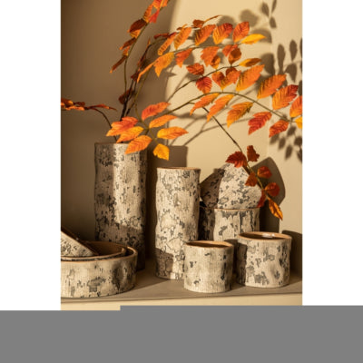 Maceta ptmd millay s beige 12 cm | 12 piezas