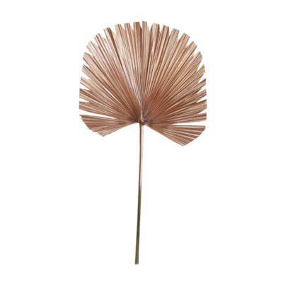 Luz viva y hoja viva plantae color cobre 91 cm | 12 piezas