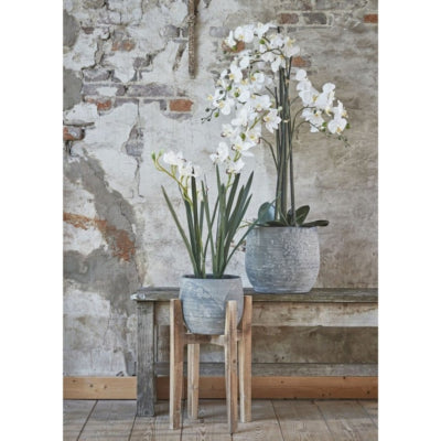 Supporto per piante in mica in legno 48 cm | 4 pezzi