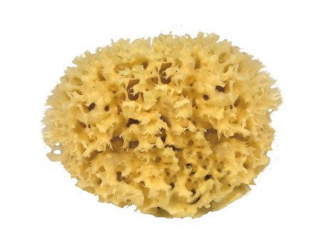 Croll Denecke Nature Sponge para el cuerpo