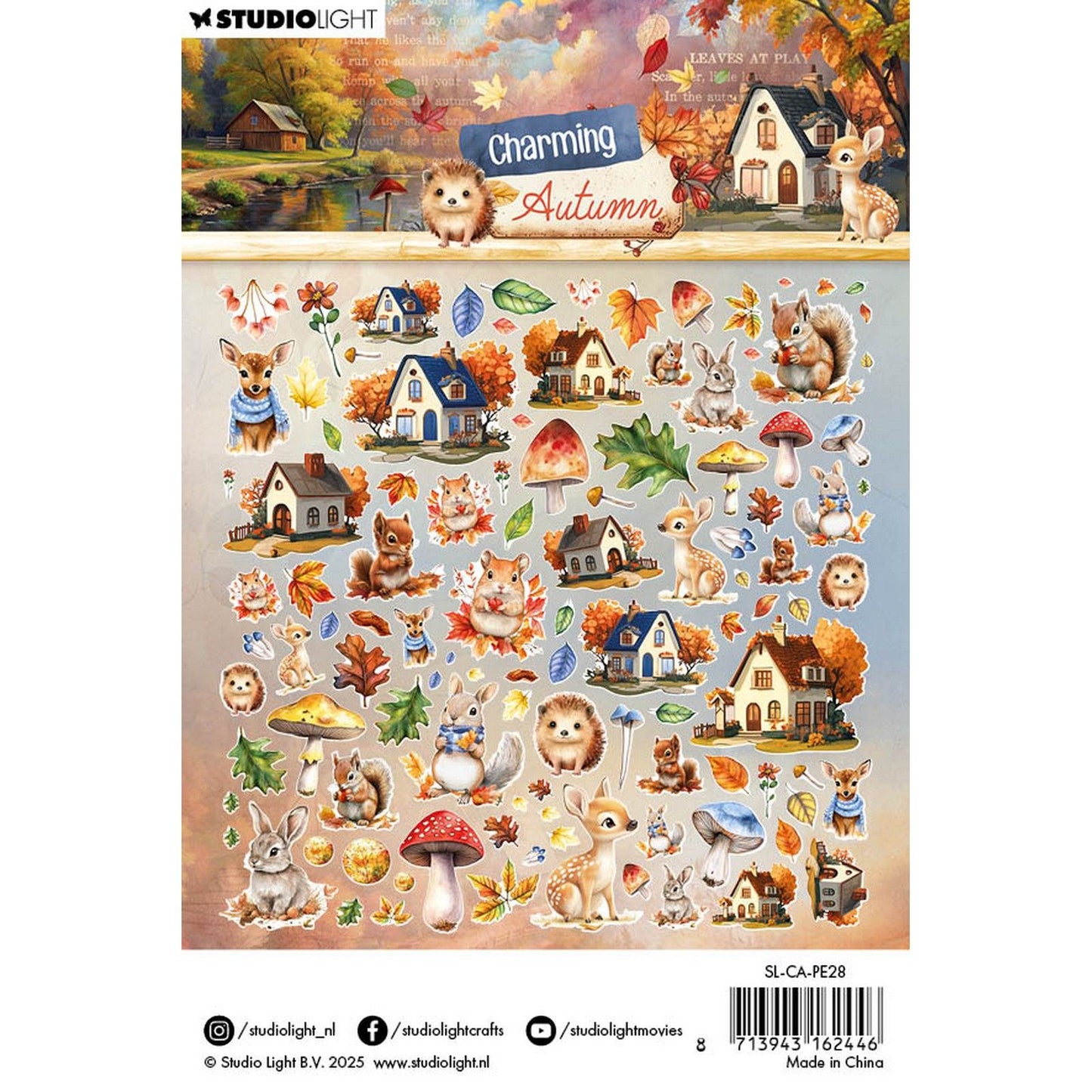 Luz de estudio • encantadores elementos de papel otoñales, hojas y casas de animales.