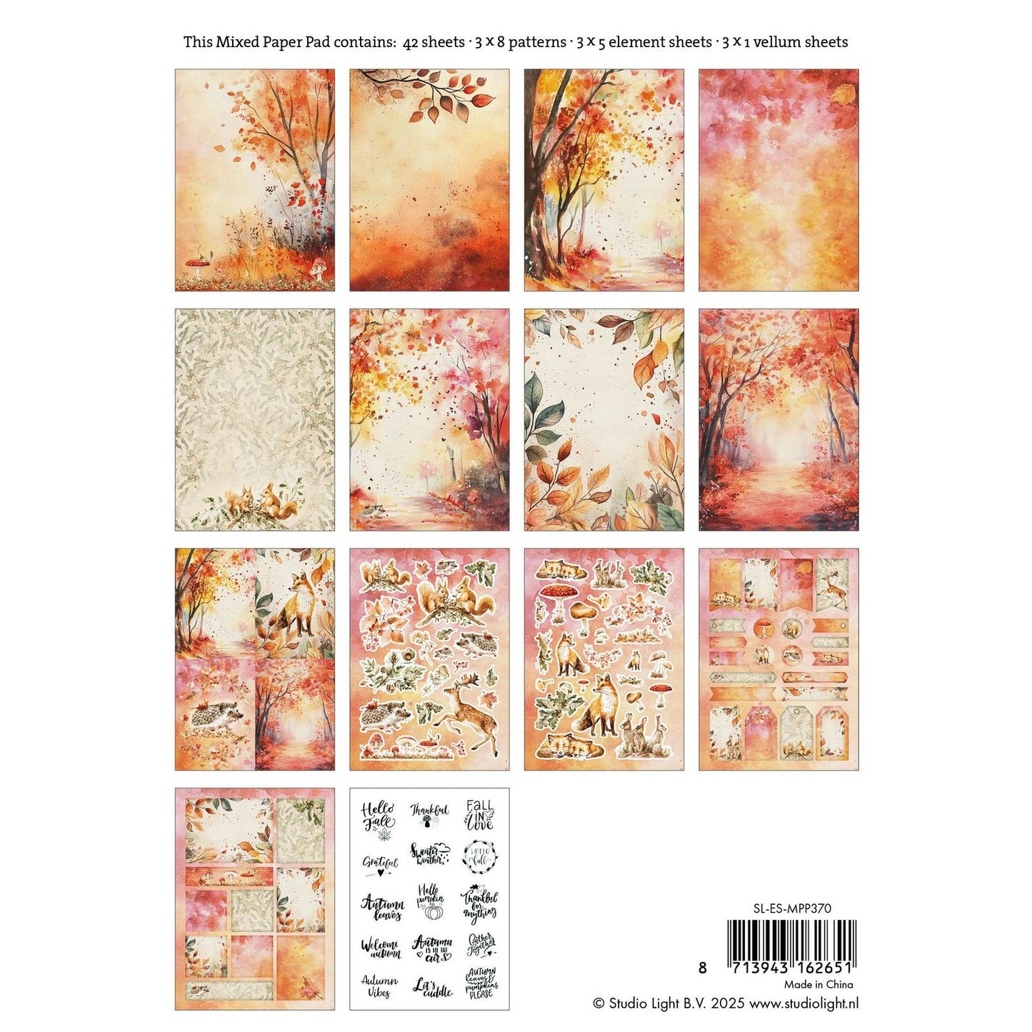 Studio light • blocco di fogli misti essenziali per l'autunno