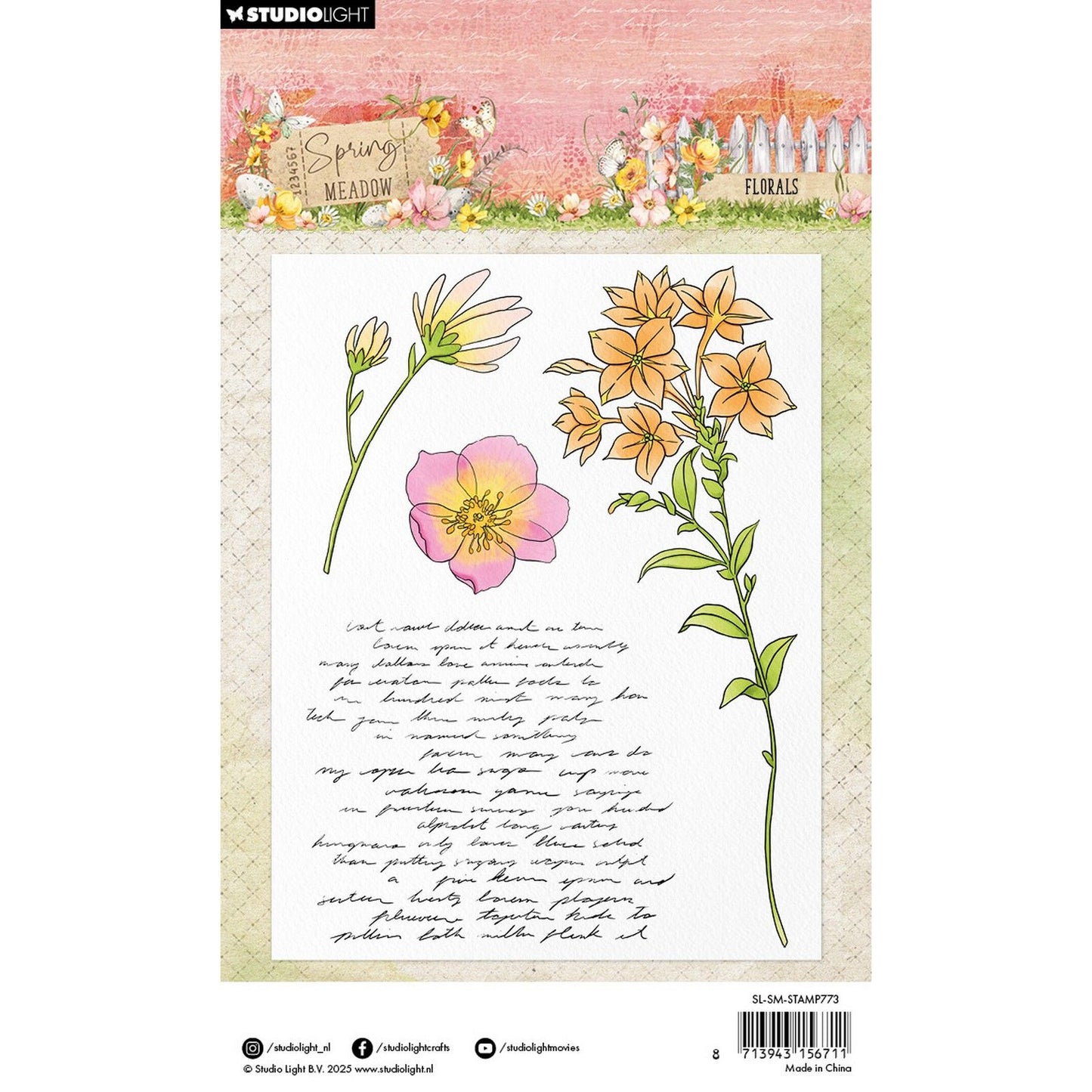 Luce da studio • fiori primaverili con timbro trasparente