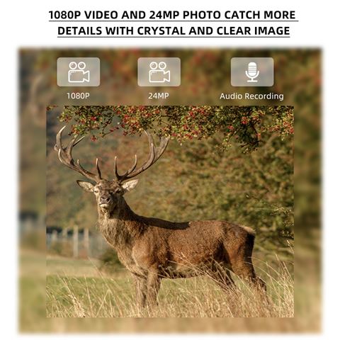 Cámara salvaje de Gear Gear STEALTH 1080P 4G