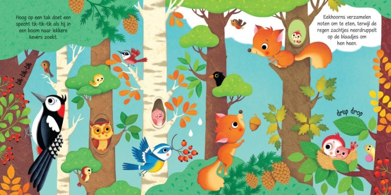 WPG Publishers Sound Book Sounds in the Forest