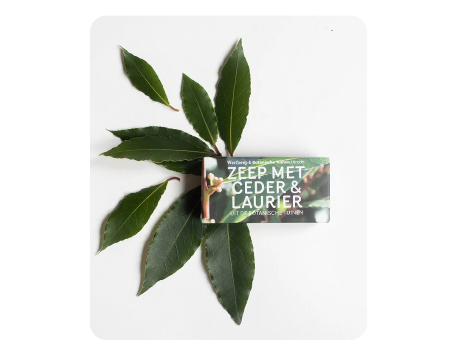 Werfzee Werf Soap Gardens Botanical Cedar Laurel