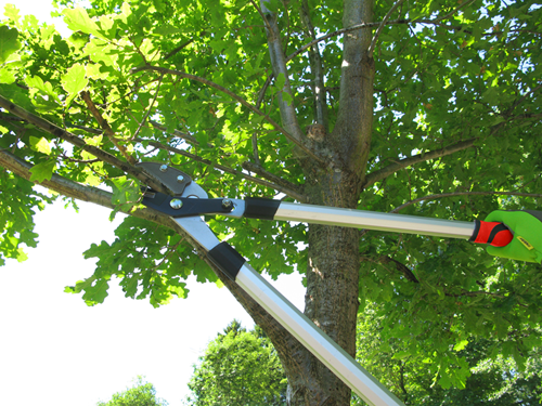Tijeras de podar meister amboss 2c - wu9769600