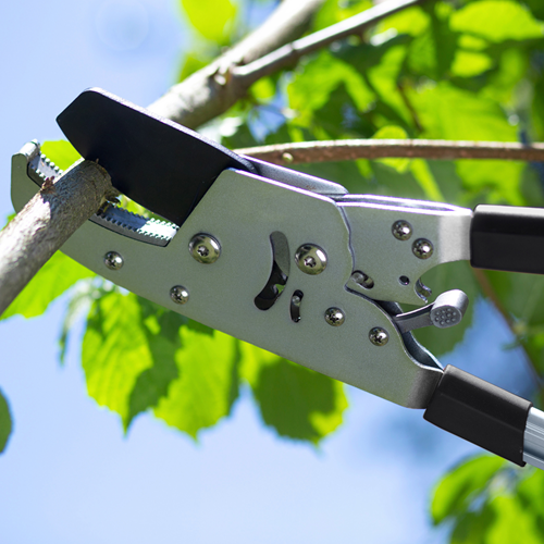 Tijeras de podar con mango telescópico Werkzeyt - wu9769700