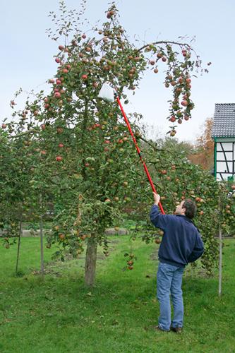 Recogedor de fruta Meister con telesc. tallo - wu9890020