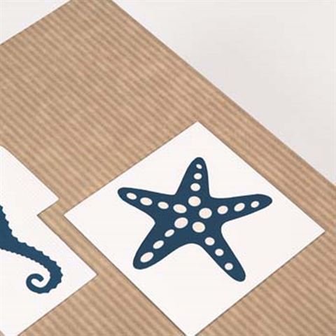 ZEP NF293150 Álbum de pergamina 50 Hojas 29x31 cm