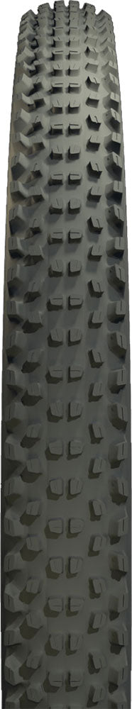 Copertone pieghevole Zleen lion pro tubeless 27.5x2.45 dc 120tpi b2b