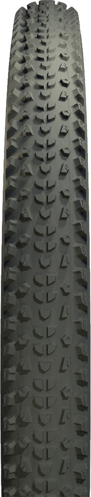 Copertone pieghevole Zleen panther pro tubeless apex 29x2.45 dc 120tpi b2b