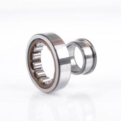 Cojinete del cilindro skf