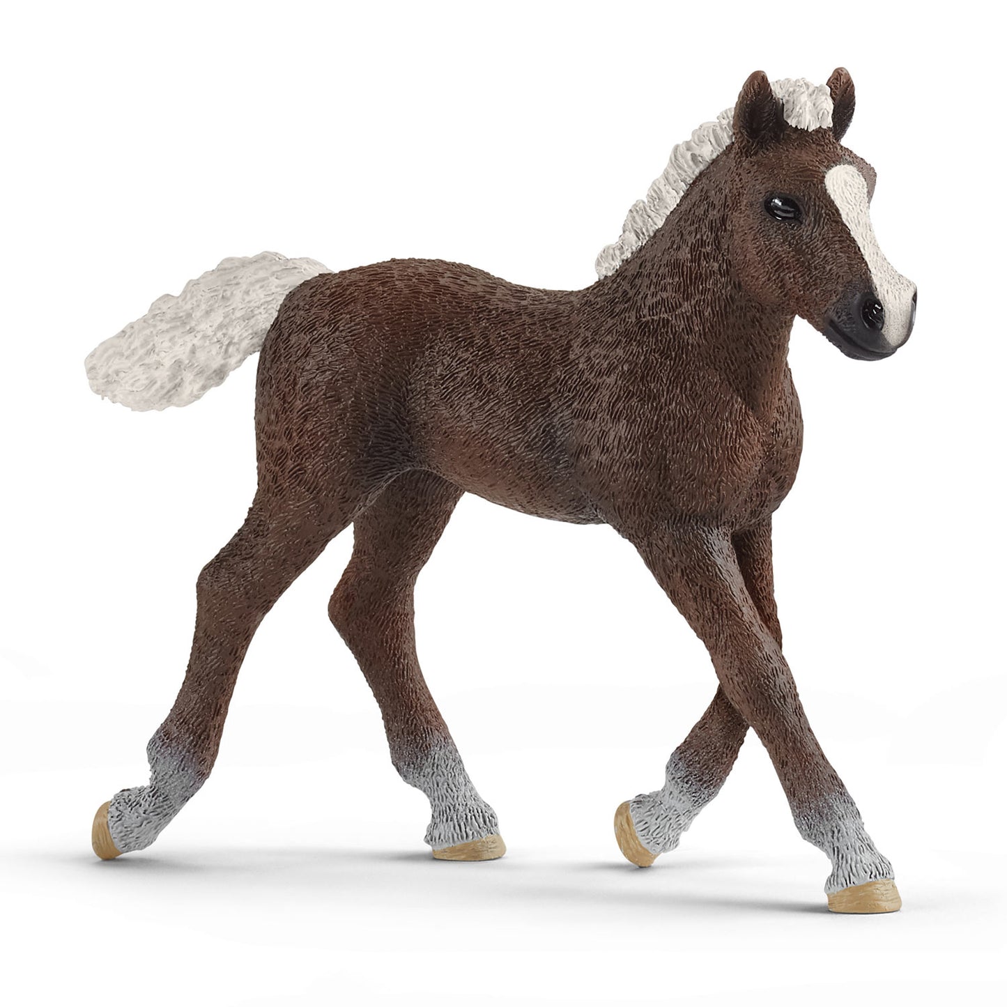 Schleich Horse Club Black Forest Black Veulen 13899