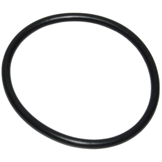 Guarnizione testa bac 70cc (O-ring) | Polini
