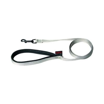 Martin Dog Belt Nylon Gray