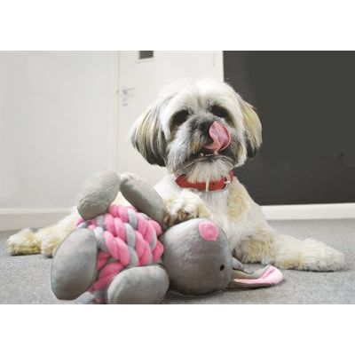 Little Rascals Knottie Bunny Touwbal Rabbit Pink