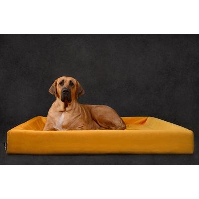 Bia BED BED ROYAL Velvet Hoes per cestino per cani OKER