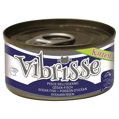 Vibrisse Kittens Cat Oceanfish