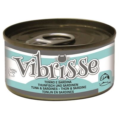 Sardinas de atún de gato vibrisse