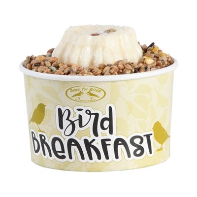 Meglio per uccelli petitfour per gli uccelli da giardino