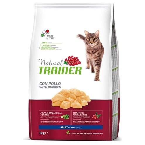 Allenatore naturale Cat Cat Chicken