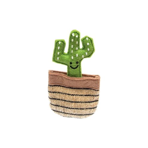 Fofos Cactus México