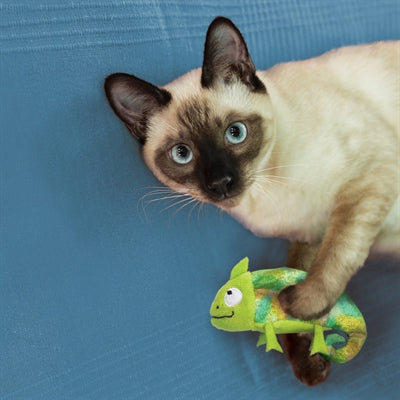 Kong Kameleon con catnip ricaricabile