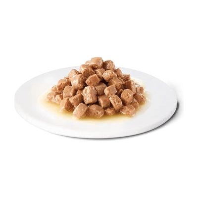 Digestione gastroenterica con dieta veterinaria avanzata