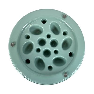 Happy Pet Mad per gli animali domestici che alimentano Cactus Cactus Slow Feeder Sage Green
