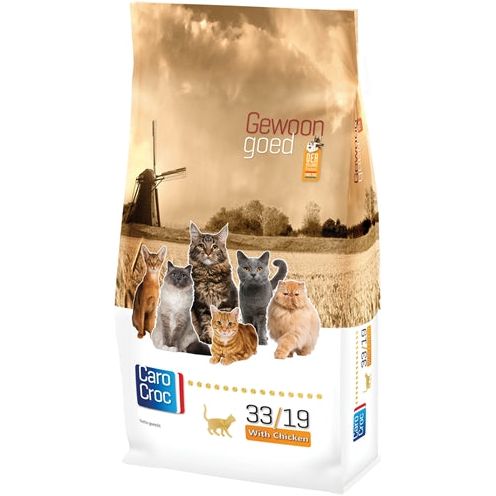 Pollo de gato de carócrócrocas