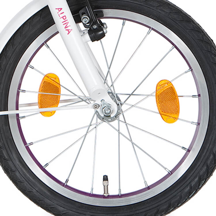 Rueda delantera Alpina 18 J20 Purple Zinc Spk