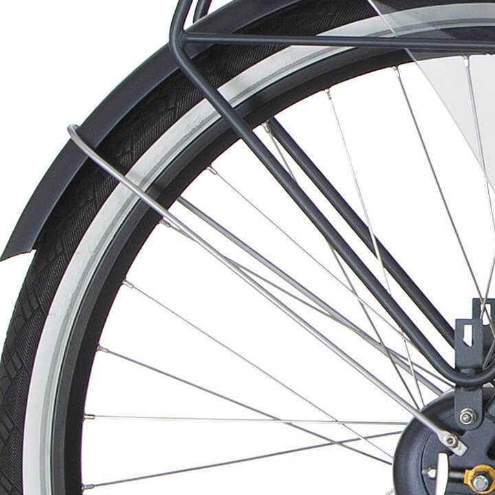 Asta del parafango cortina posteriore 28 radici argento