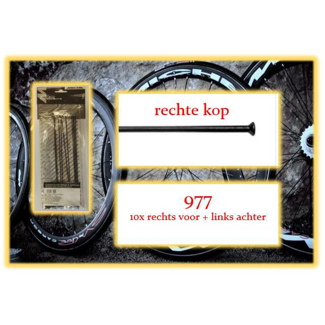 Miche Spaak+Nip. 10x RV+LA 977 Testa dritta