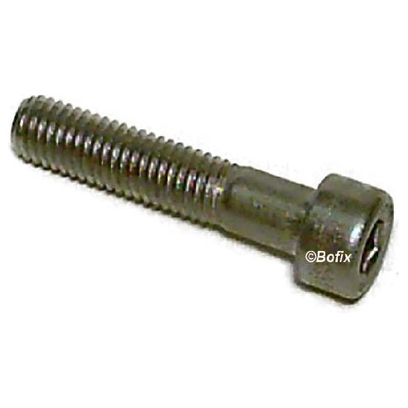 Xtrabike Bout Xtrabike Allen M8x55 Steel
