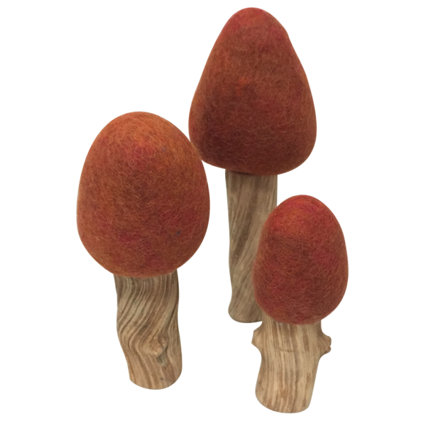 Papoose juguetes de otoño 3