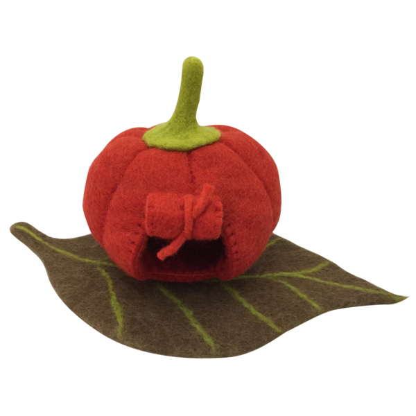 Papoose juguetes hadas de calabaza y estera