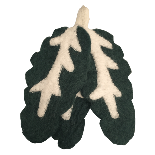 Papoose juguetes fieltro alimento platebeet 3
