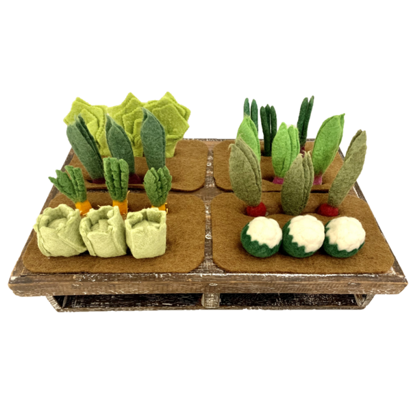 Papoose Joys Grow-A-Garden 24pc