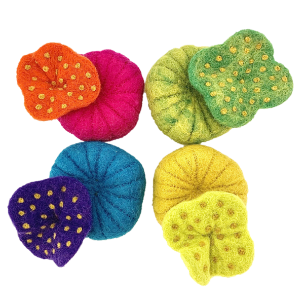 Toys Papoose Hidey-Holes 4pc