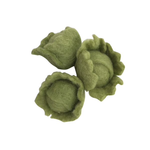 PAPOOSE PAPOOSE MINI CABBAGE 3