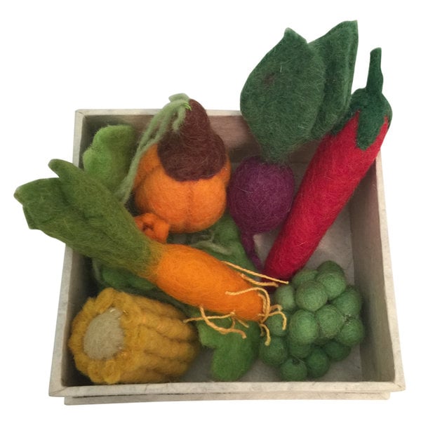 Papoose Toys Mini Veghe Set en caja