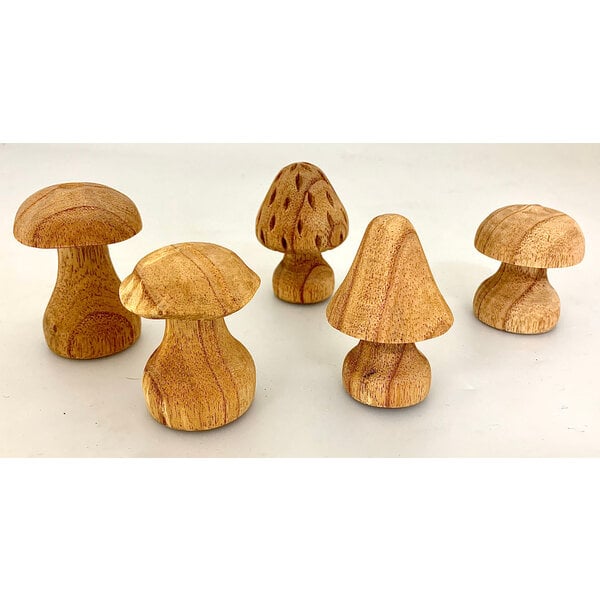 Papoose juguetes champiñones a mano tallados 5pc