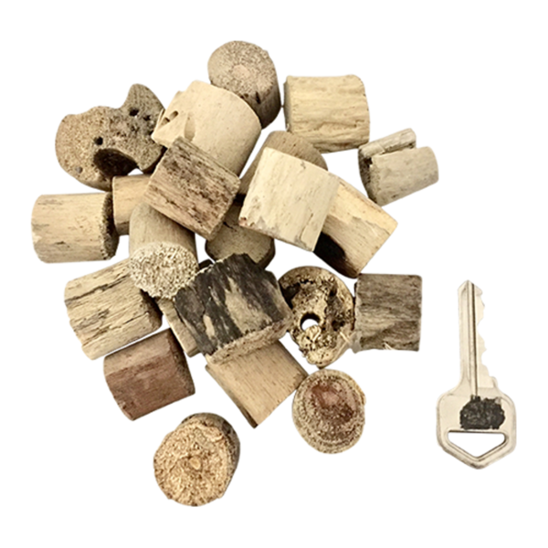 Giocattoli papoose corto driftwood 20pc