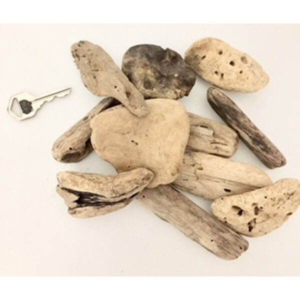 Papoose juguetes pequeños madera de deriva 10pc